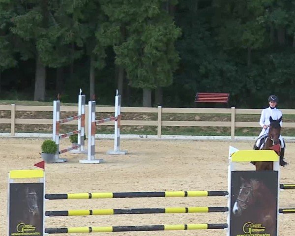 Reitturnier Tiefenhof/Opf. 2025