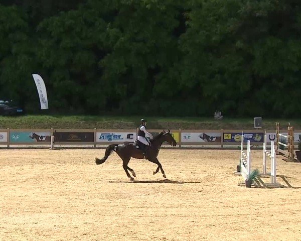 Reitturnier Tiefenhof/Opf. 2025