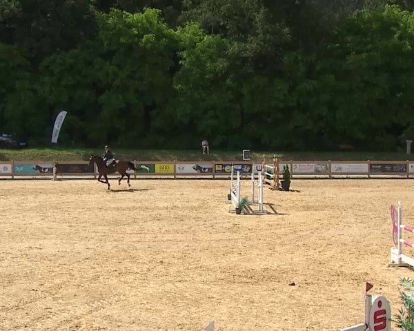 Reitturnier Tiefenhof/Opf. 2025