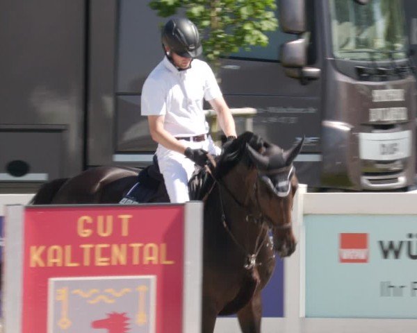 Reitturnier Babenhausen/Schw. 2025