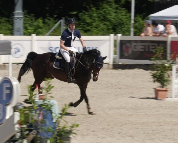 Reitturnier Babenhausen/Schw. 2025