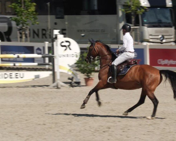 Reitturnier Babenhausen/Schw. 2025
