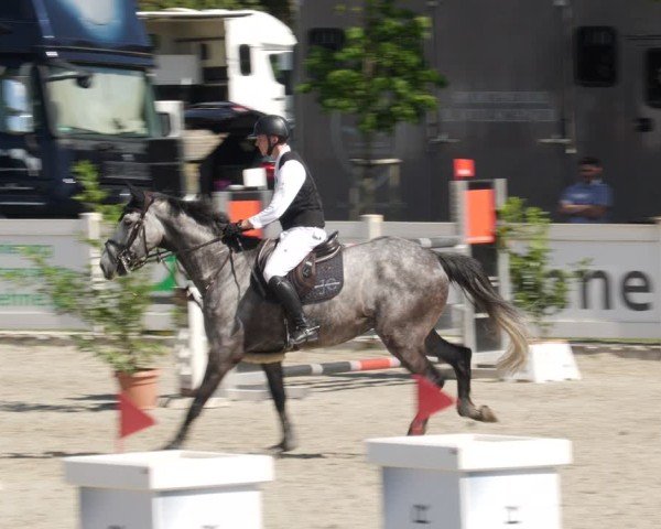 Reitturnier Babenhausen/Schw. 2025
