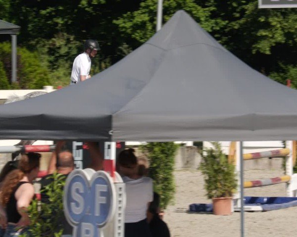 Reitturnier Babenhausen/Schw. 2025