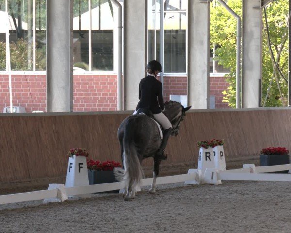 Reitturnier Langenfeld 2025