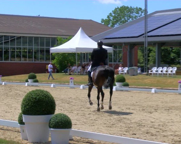 Reitturnier Langenfeld 2025