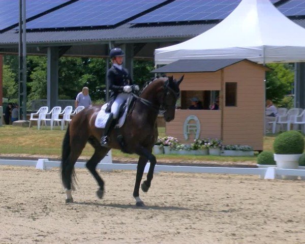 Reitturnier Langenfeld 2025