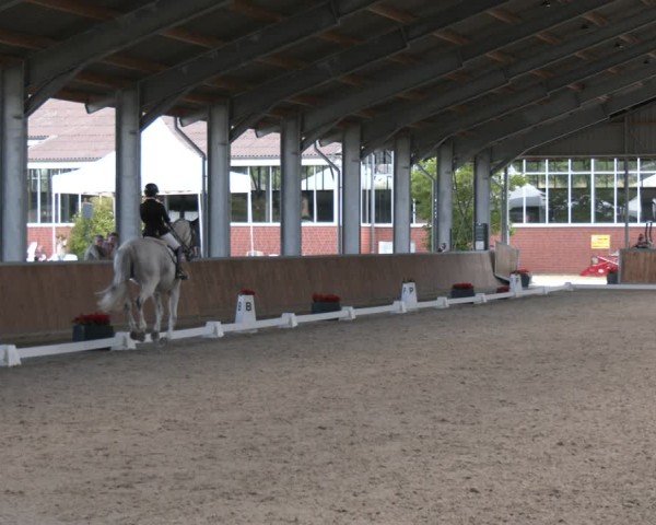 Reitturnier Langenfeld 2025