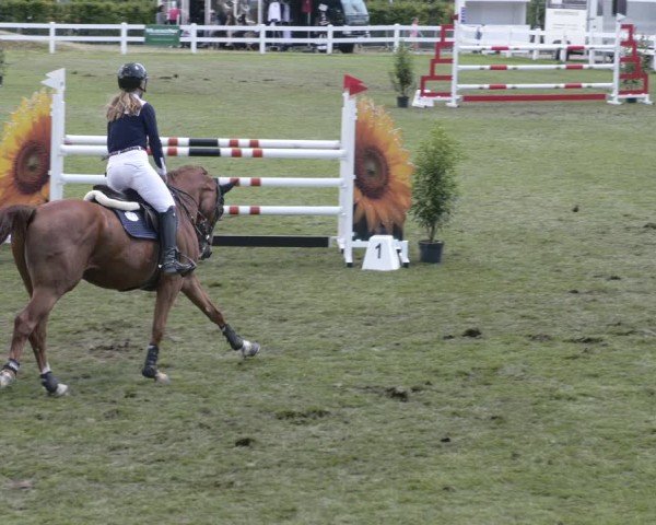 Reitturnier Aach 2025