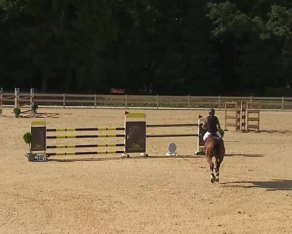 Reitturnier Tiefenhof/Opf. 2025