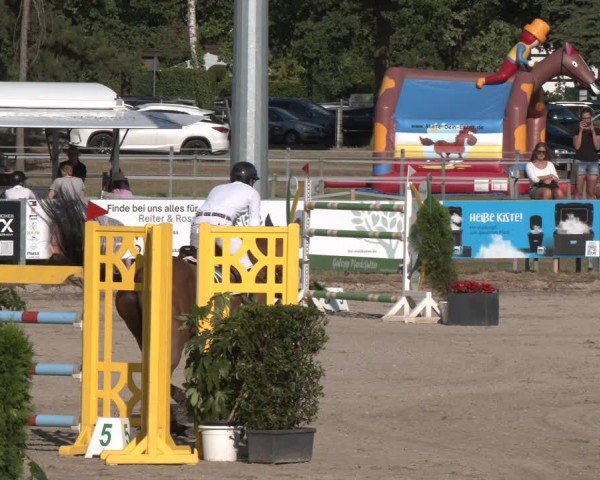 Reitturnier Langenfeld 2025