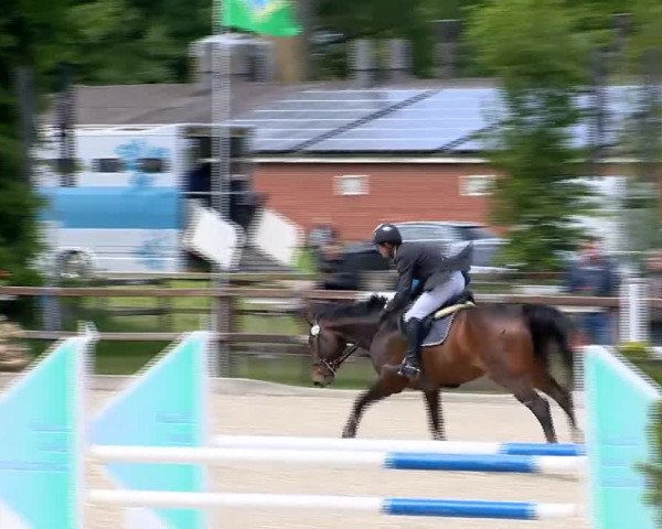 Klein Roscharden May Tour 2014