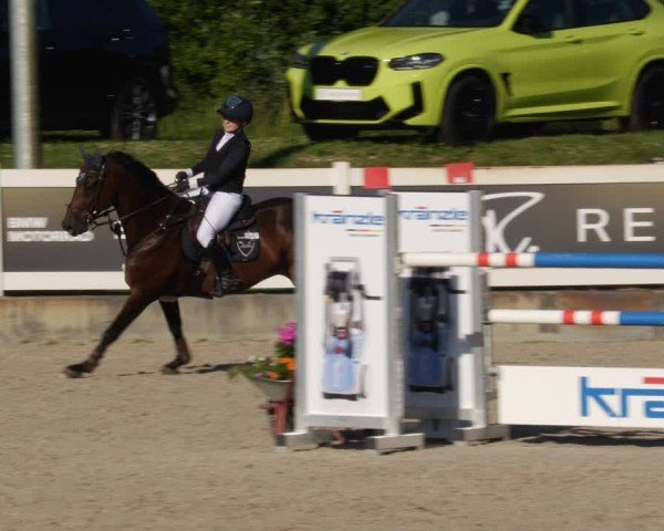 Reitturnier Babenhausen/Schw. 2025