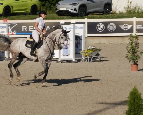 Reitturnier Babenhausen/Schw. 2025