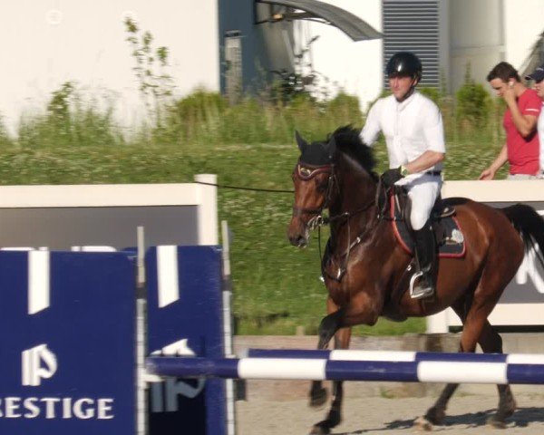 Reitturnier Babenhausen/Schw. 2025