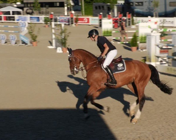 Reitturnier Babenhausen/Schw. 2025