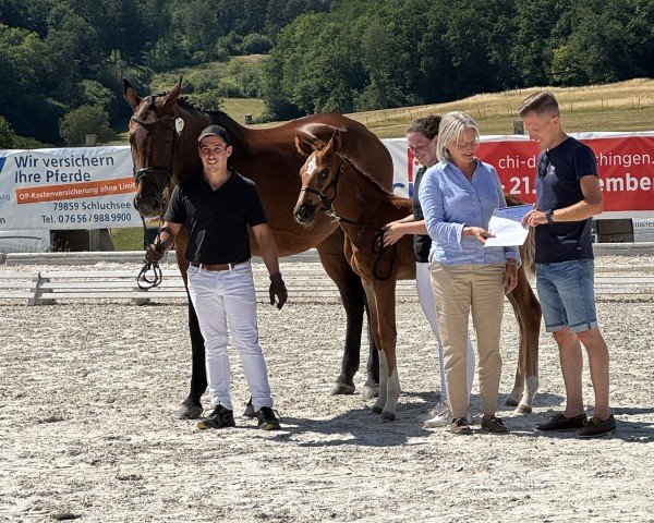foal by Jilly Milly Lx (German Sport Horse, 2025, from Jasper)