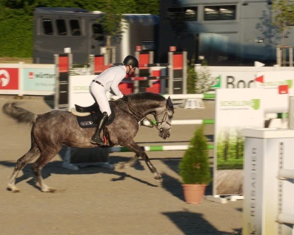 Reitturnier Babenhausen/Schw. 2025