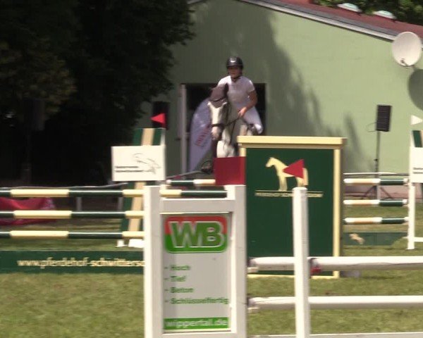 Reitturnier Schwittersdorf-Beesenstedt 2025