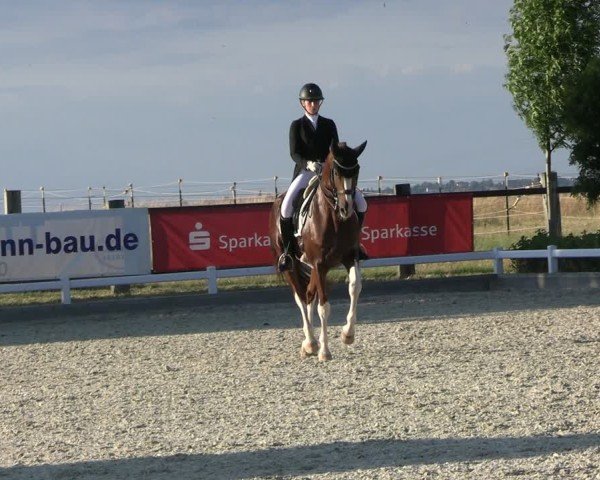 Reitturnier Dresden Gompitz 2025
