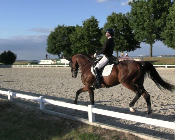 Reitturnier Dresden Gompitz 2025