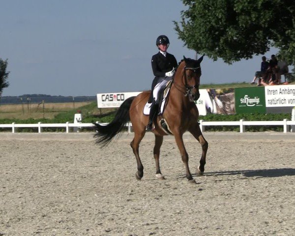Reitturnier Dresden Gompitz 2025
