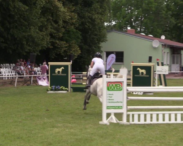 Reitturnier Schwittersdorf-Beesenstedt 2025