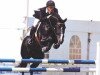 stallion Karandasj (KWPN (Royal Dutch Sporthorse), 1992, from Fedor)