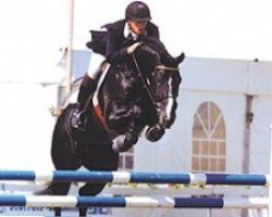 stallion Karandasj (KWPN (Royal Dutch Sporthorse), 1992, from Fedor)