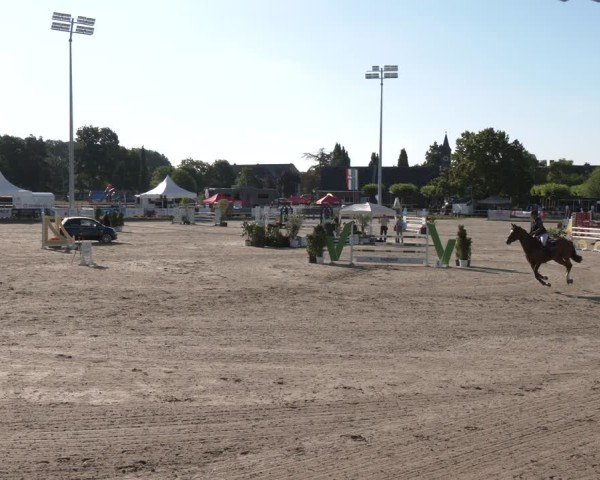 Reitturnier Langenfeld 2025