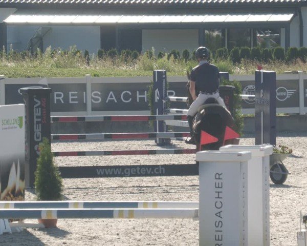 Reitturnier Babenhausen/Schw. 2025