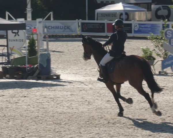 Reitturnier Babenhausen/Schw. 2025