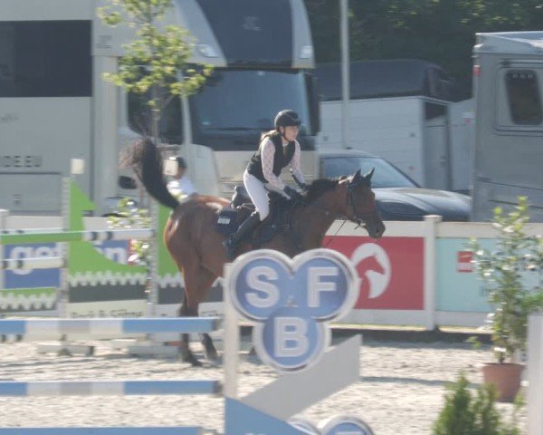 Reitturnier Babenhausen/Schw. 2025