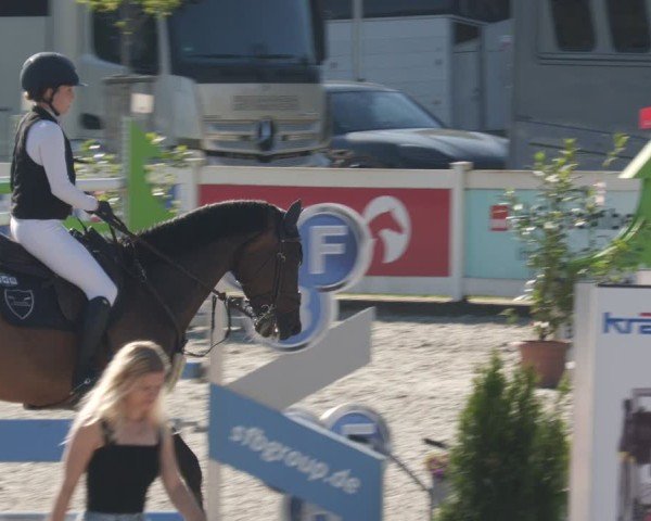 Reitturnier Babenhausen/Schw. 2025