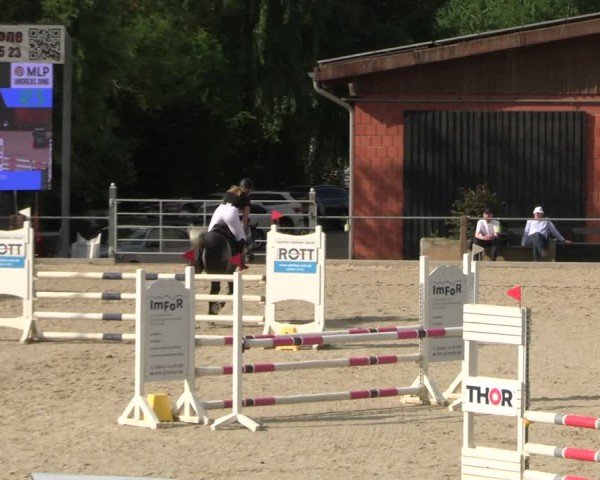 Reitturnier Uder, Reitanlage Kobold 2025