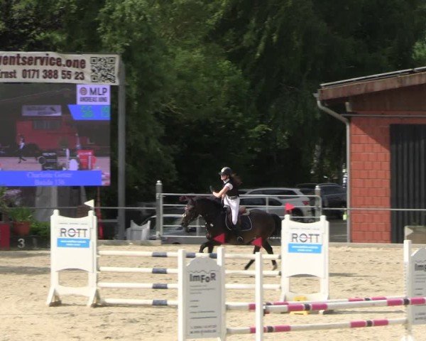 Reitturnier Uder, Reitanlage Kobold 2025