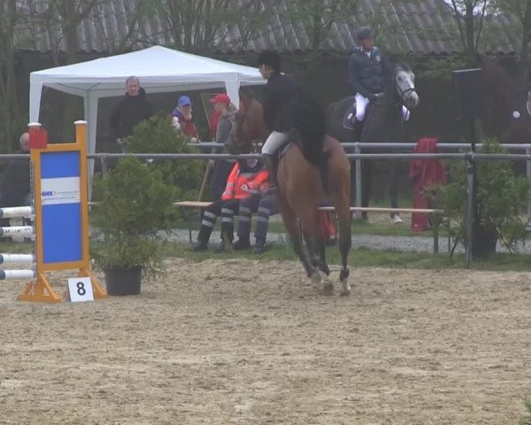 Großes Reit- und Springturnier Bühren-Breckerfeld 2014