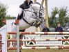 stallion Quick Amour GE (German Sport Horse, 2007, from Quicksilber)