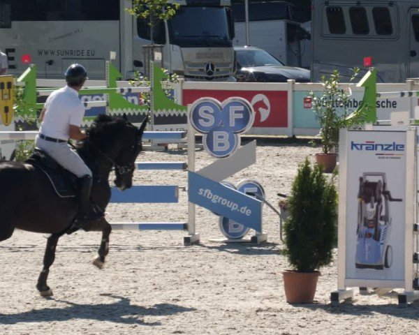 Reitturnier Babenhausen/Schw. 2025
