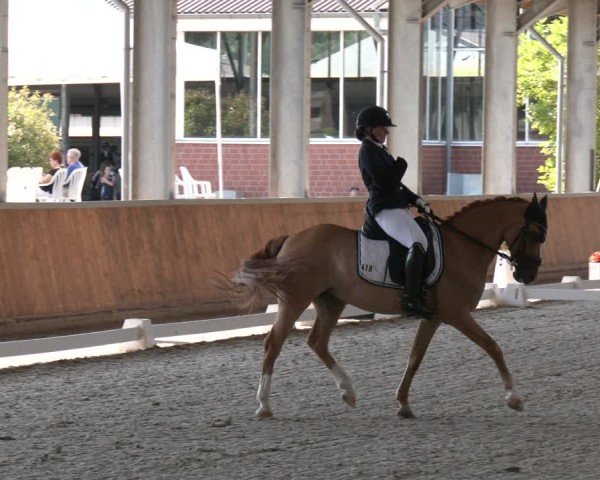 Reitturnier Langenfeld 2025