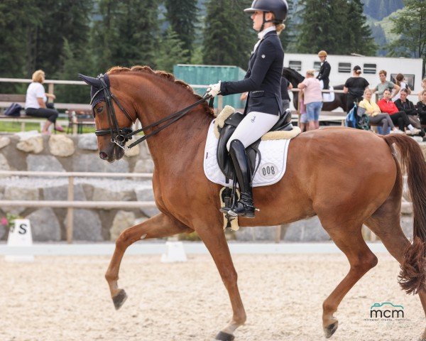 dressage horse Be My Lover (Oldenburg, 2018, from Blue Hors Baron)