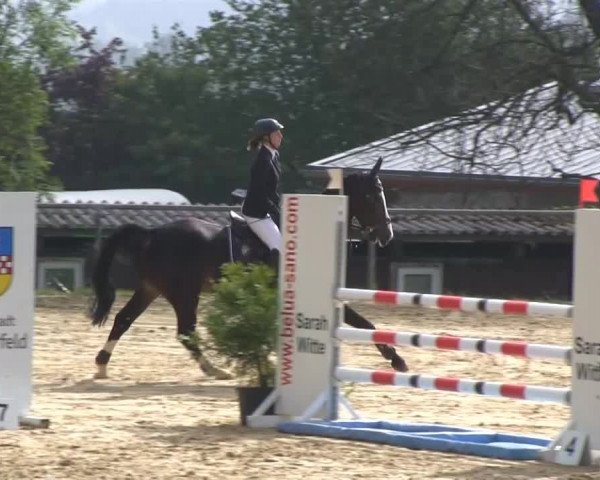Großes Reit- und Springturnier Bühren-Breckerfeld 2014