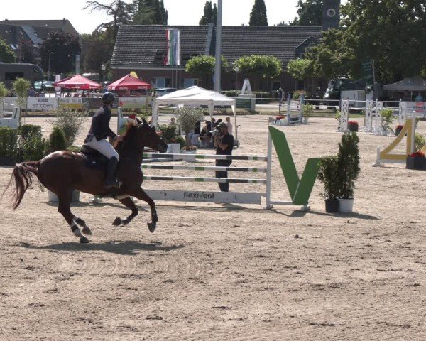 Reitturnier Langenfeld 2025