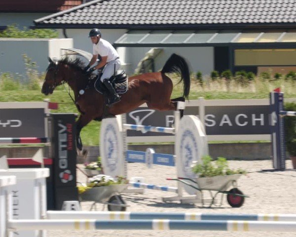 Reitturnier Babenhausen/Schw. 2025
