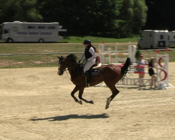 Reitturnier Bad Liebenstein/Sorga 2025