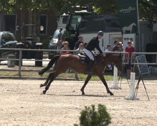 Reitturnier Langenfeld 2025