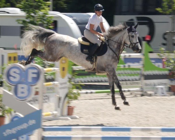 Reitturnier Babenhausen/Schw. 2025