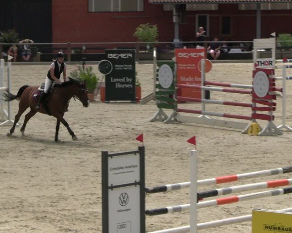 Reitturnier Uder, Reitanlage Kobold 2025