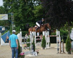 jumper Diva M 7 (Oldenburg show jumper, 2017, from Diamant de Semilly)