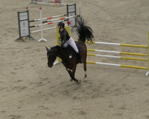 Reitturnier Uder, Reitanlage Kobold 2025